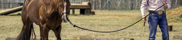 FILES2f20142f042f0415_03.jpg.jpg
