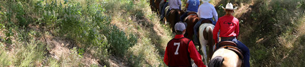 FILES2f20142f062f0617_01.jpg.jpg