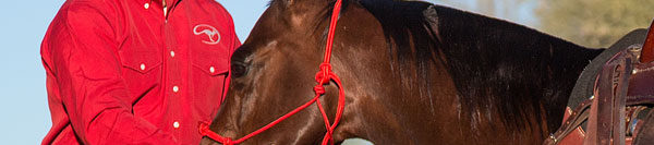 FILES2f20142f072f0715_04.jpg.jpg