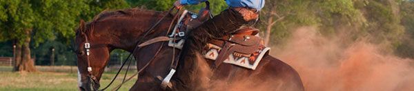 FILES2f20142f072f0715_06.jpg.jpg