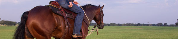FILES2f20142f072f0729_Tip.jpg.jpg