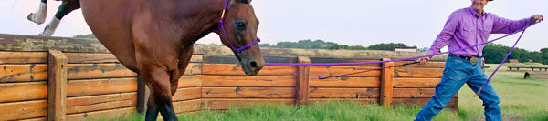 FILES2f20142f082f0805_Tip.jpg.jpg