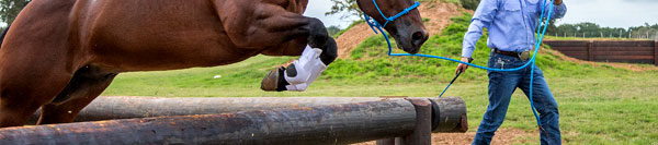 FILES2f20142f092f0916_04.jpg.jpg