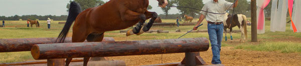 FILES2f20152f022f0217_05.jpg.jpg