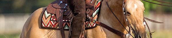 FILES2f20152f042f0407_Tip.jpg.jpg