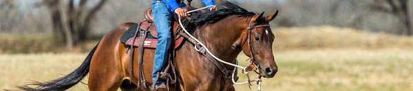 FILES2f20152f062f0623_02.jpg.jpg