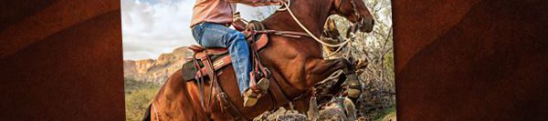 FILES2f20152f072f0707_03.jpg.jpg