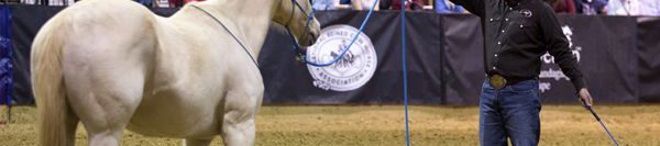 FILES2f20152f082f0804_03.jpg.jpg