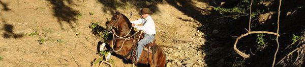 FILES2f20152f082f0825_05.jpg.jpg