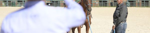 FILES2f20152f092f0915_03.jpg.jpg