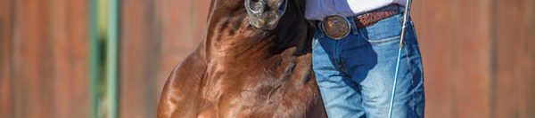 FILES2f20152f092f0915_04.jpg.jpg