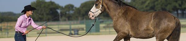 FILES2f20152f092f0929_05.jpg.jpg