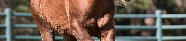 FILES2f20152f102f1027_07.jpg.jpg