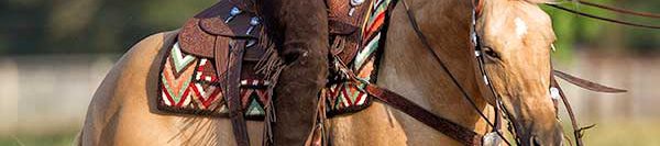 FILES2f20152f112f1110_05.jpg.jpg