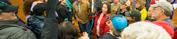 FILES2f20162f042f0405_05.jpg.jpg