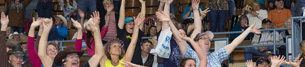 FILES2f20162f042f0419_04.jpg.jpg