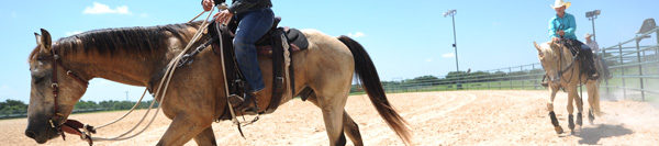 FILES2f20162f042f0426_04.jpg.jpg