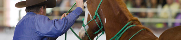 FILES2f20162f052f0524_04.jpg.jpg