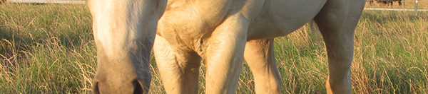 FILES2f20162f072f0705_03.jpg.jpg