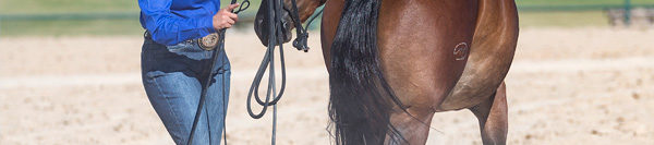 FILES2f20162f072f0719_04.jpg.jpg