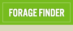 Forage Finder