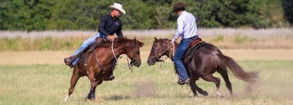 Fix-Buddy-Sour-Horse