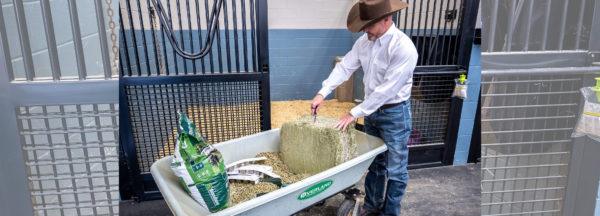 What-to-do-When-Your-Horse-Paws-at-Feeding-Time