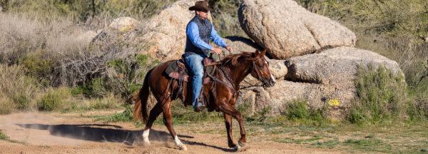 Training-Tips_Teach-Hot-Horse-to-Lope-Slowly