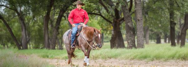 Speeding-Up-a-Slowpoke